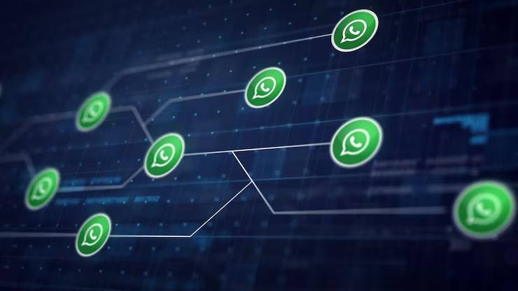 Your Website’s Direct Line: Embedding Instant WhatsApp Communication