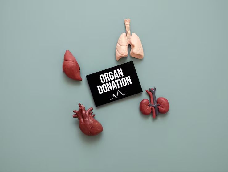 Whole Body Donation Near Me: How to Find a Program in Your Local Area